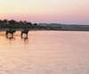 Cataract Marsa Alam Resort 